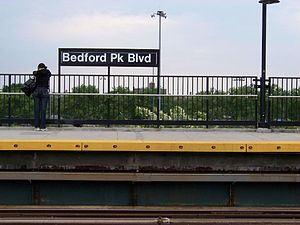 Dumpster Rental In Bedford Park