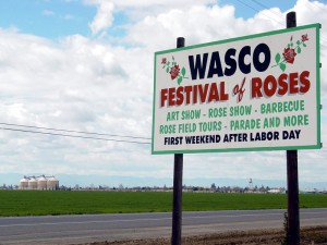 Dumpster Rental Wasco